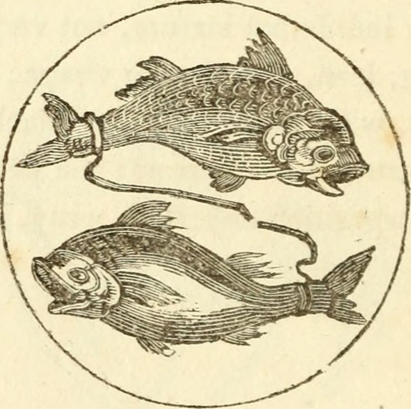 Ilustracija: Internet Archive Book Images