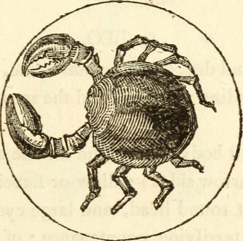 Ilustracija: Internet Archive Book Images