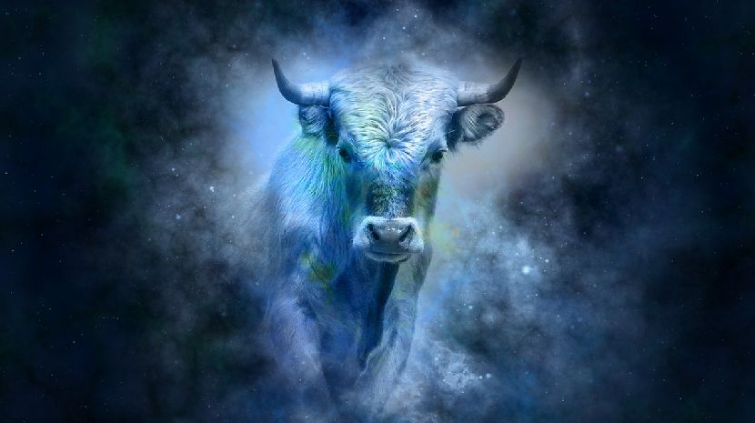 Foto-ilustracija: pixabay.com