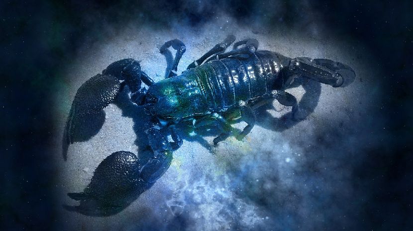 Foto-ilustracija: pixabay.com