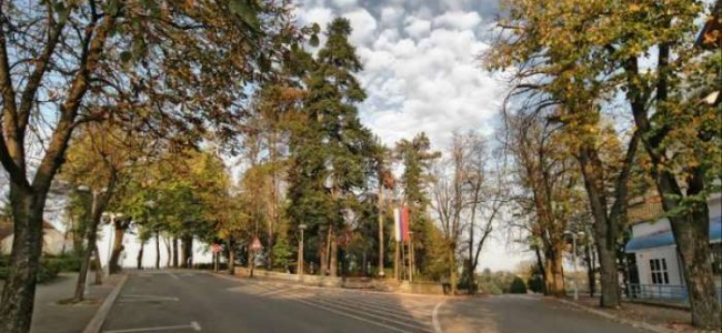 POZITIVNI PRNJAVOR – Drvored kao čuvar duha Prnjavora!