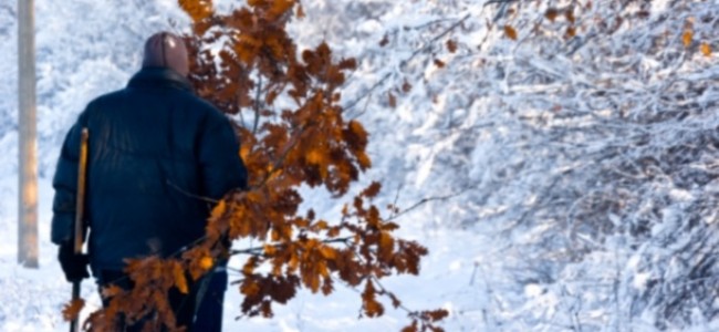 Badnjačka povorka i vatromet u Pečeneg Ilovi