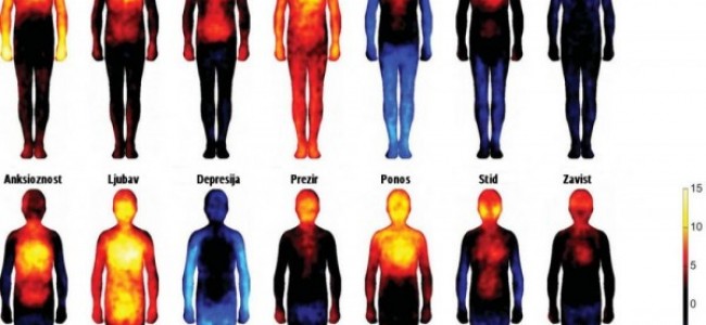POGLEDAJTE OVU NEVJEROVATNU MAPU: Različite emocije izazivaju različite fizičke promjene na tijelu!