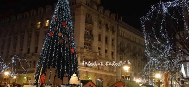 Najviša jelka koju je Beograd ikada imao