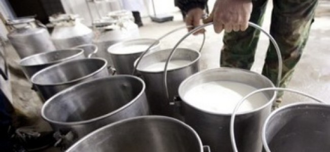 Ugroženi svi mljekari zbog priliva jeftinih proizvoda iz EU